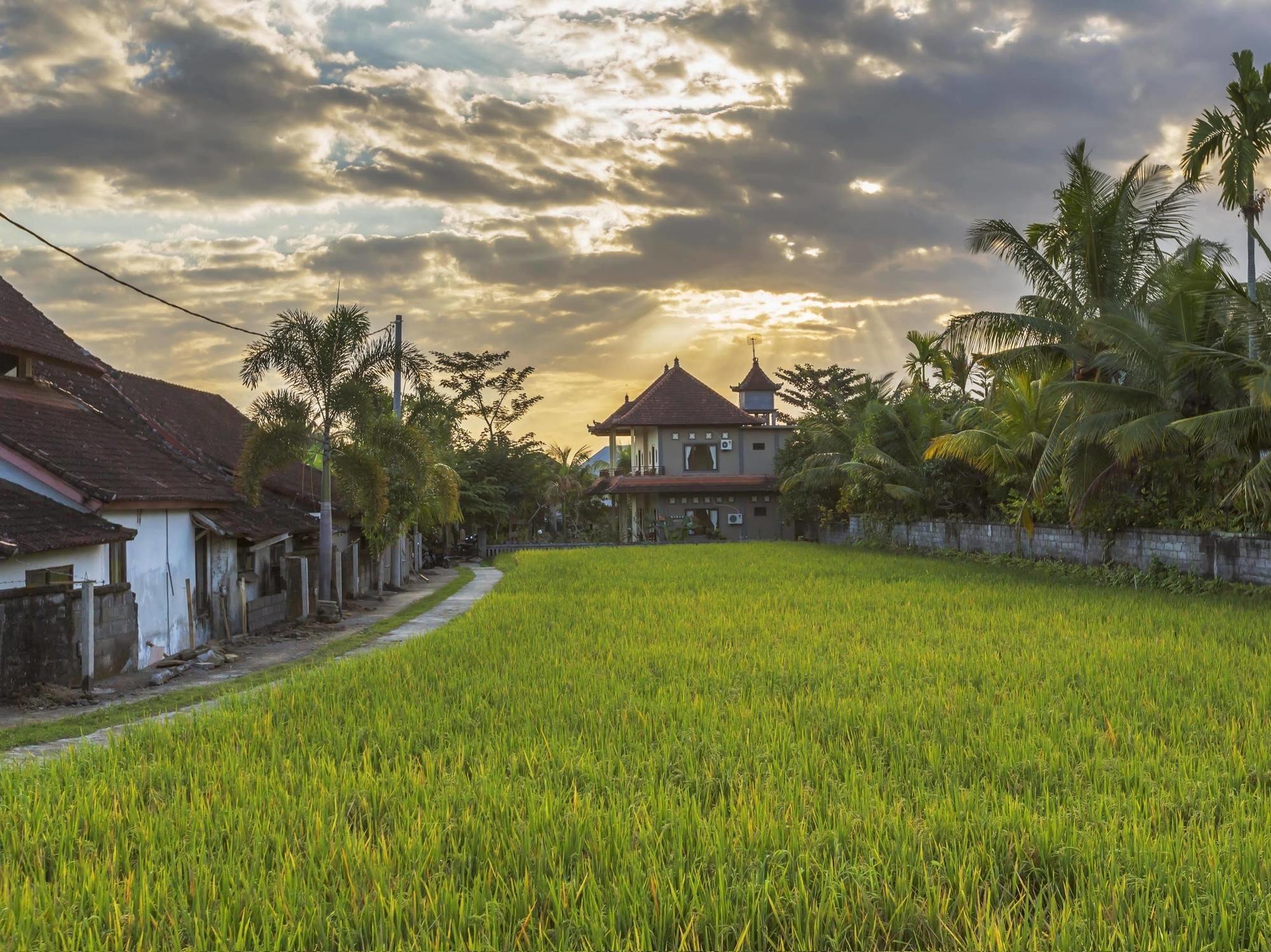 Abipraya Ubud Zewnętrze zdjęcie